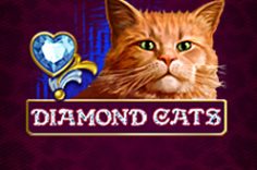 Играть в Diamond Cats