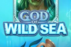 Играть в God of Wild Sea