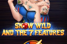 Играть в Snow Wild And The 7Features