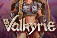 Играть в Valkyrie