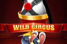 Играть в Wild Circus