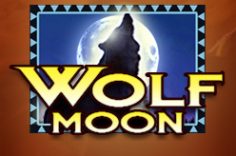 Играть в Wolf Moon